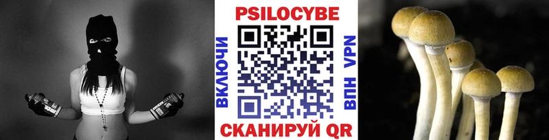 где можно купить Железногорск-Илимский Галлюциногенные грибы Psilocybine cubensis